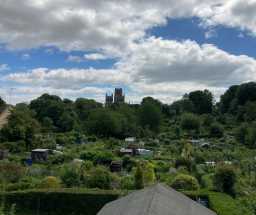 St Margaret's Allotments, Margery Lane, Durham 10/12/2021